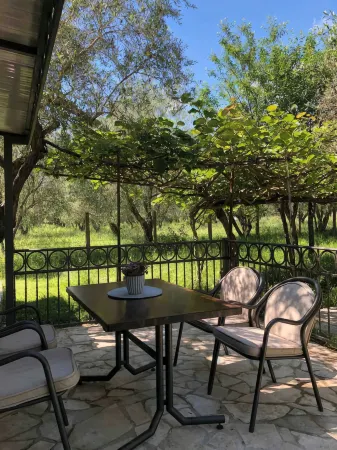 Rajana Bungalow 2(Olive House) Отели в г. Gjerana