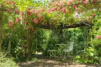 Casa Do Foral - Vila