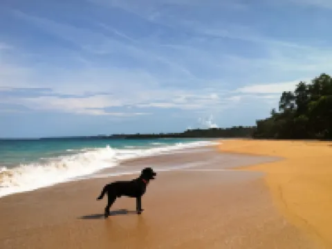 Playa Bluff Lodge