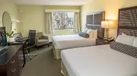 Maple Tree Inn Hotels in 