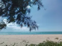 The Rock Coco Villa - Homestays