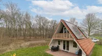 Touch of Yellow - Homestays