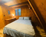 Beautiful Ski Chalet with Sauna near Harbor Springs