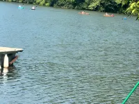 2-Bedroom Lake House on Watts Bar Lake outside Kingston, TN Hotels in Roane County