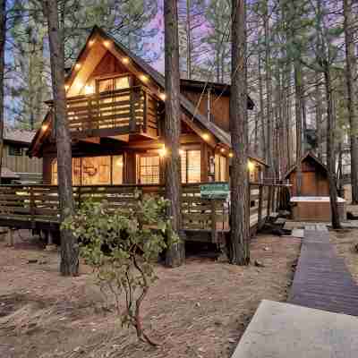 PINESHIRE -Cozy 3-bedroom cabin in Big Bear Lake -WALK to Snow Summit -HOT TUB! Hotel Exterior