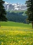 Xishanyao · Stay Grasslands Vacation Boutique Stay