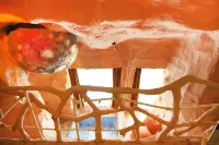 Wuxi Turkish Characteristic Cave Aesthetics Self-Service Apartment - สัตว์เลี้ยง