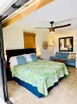 Tropical Paradise #8 at HBR, King Bed Studio with beach access, AC & kitchen - Condos