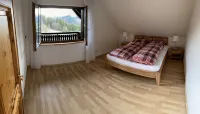 Villa in the Black Forest with indoor pool - Wifi