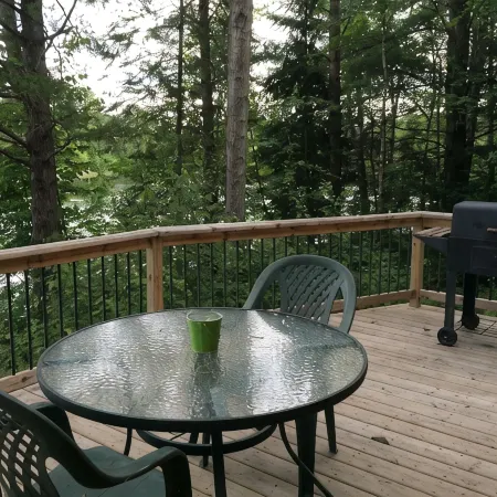Perfect Tranquility--where nature and wildlife are your only neighbors!