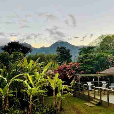Tropical Paradise #8 at HBR, King Bed Studio with beach access, AC & kitchen Hotel Exterior