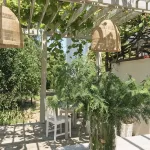 Blaga House Design Dacha Guest House - Inns