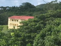 New Listing!Verdant Paradise. Relaxing Vacation In The Lush Tropical Rain Forest - Wifi