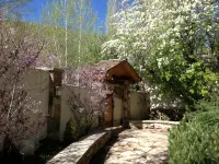 Home for 22, Ski Shuttle, Hot Tub, Pool, Dog OK Tennis/Pickleball/Pool Table