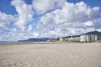 New Sauna! 3 Min. Walk to Beach, Dog and Family Friendly, Bright & Modern House - 4-Star