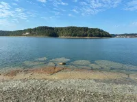 Lake Lover's Paradise! 3 Bed/2 Bath, Walk to Lake on Lake Cumberland!