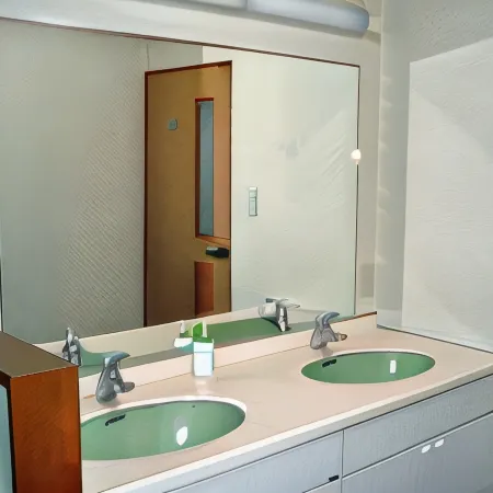 Ryokan Shoeiso Отели в г. Нирасаки
