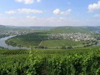 Gästehaus Mack - Mosel Rooms & Restaurant Hotels in Trittenheim