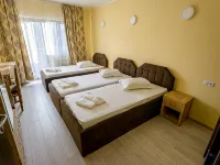 Pensiunea Domneasca Hotels in Pitesti