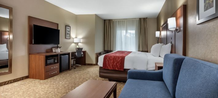 Comfort Inn & Suites Montgomery East Carmichael Rd Hotels in Montgomery