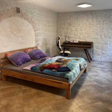 Idyllic vacation home in Jena 5 minutes walk to the center directly on the Saale