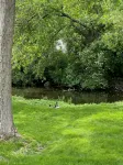 Abbey Ridge Ranch Style Condo Conveniently located in the resort community - Wifi