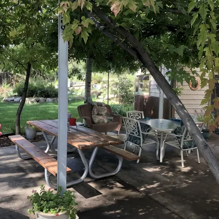 Bohemian Tree Casa