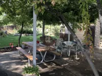 Bohemian Tree Casa - بيت ضيافة