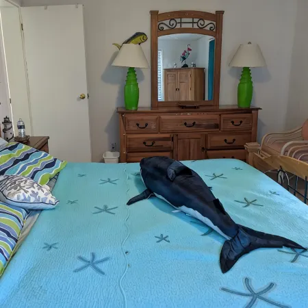 Reelin' Inn - Hatteras; Spectacular Sunsets, Dog friendly, WiFi, and Hot tub!
