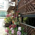 Roma Pension Boryeong