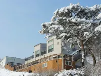Modern Vill Pension Hotel in zona Comprensorio Sciistico Yongpyong