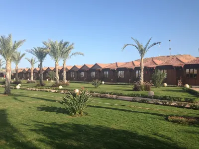 Xperience Golden Sandy Beach Hotels in Sharm El Sheikh