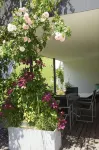 Your apartment in the natural snow paradise - 3 estrellas
