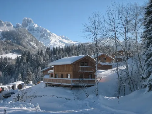 Stylish and cozy: Austrian wooden chalet for 8, only 300m from slopes - Homestays