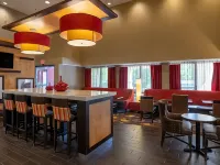 Hampton Inn by Hilton Chester South Hotels in Bermuda