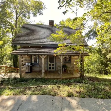 Luxury Log Cabin and 40 acres on Douglas Lake