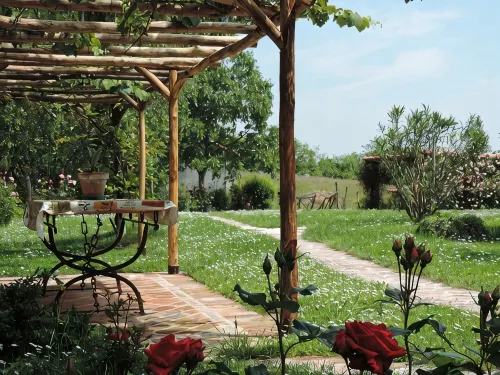 Isolated on hill, flat with terrace,garden among romanesque art,quiet,nature - Wifi