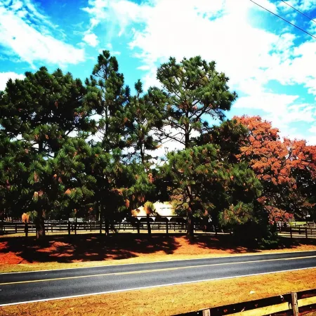Tanglewood Farm - Fox Den Suite 1 Br/1BA Private Apartment on Horse Farm