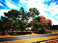 Tanglewood Farm - Fox Den Suite 1 Br/1BA Private Apartment on Horse Farm - 4-Star