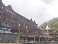 Hotel de Marronnier Yunoyama-Onsen - Hot Springs