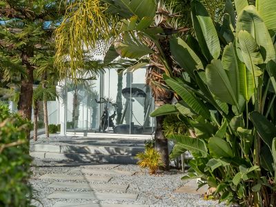 All About Villa Estrella de Oro