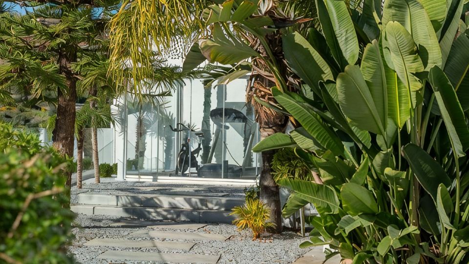 All About Villa Estrella de Oro