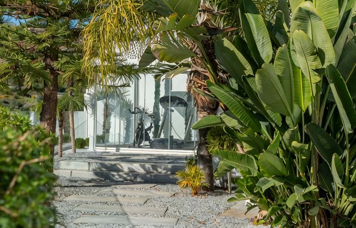 All About Villa Estrella de Oro