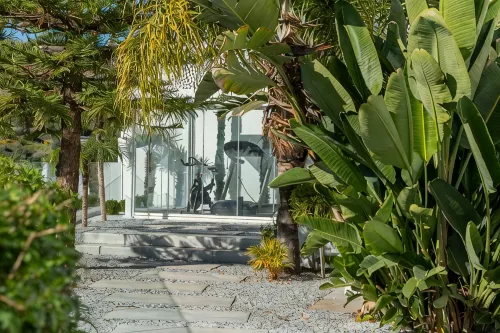 All About Villa Estrella de Oro - Villas
