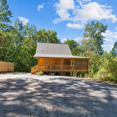 Gorgeous CABIN! Huge Deck, Mountain Views,12 min to Dwtn AVL!!!