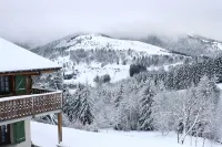Apartment with Terrace in Chalet - Chalets