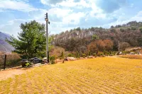 Muju Solhyanggi Pension - 家庭旅館