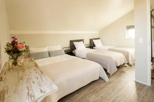 Vacation home Vinkeveense Plassen - Homestays