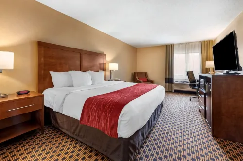Comfort Inn Joliet West I-80 - Pet friendly