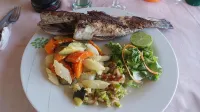 Hotel le Trarza - breakfast